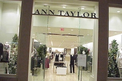 AnnTaylor